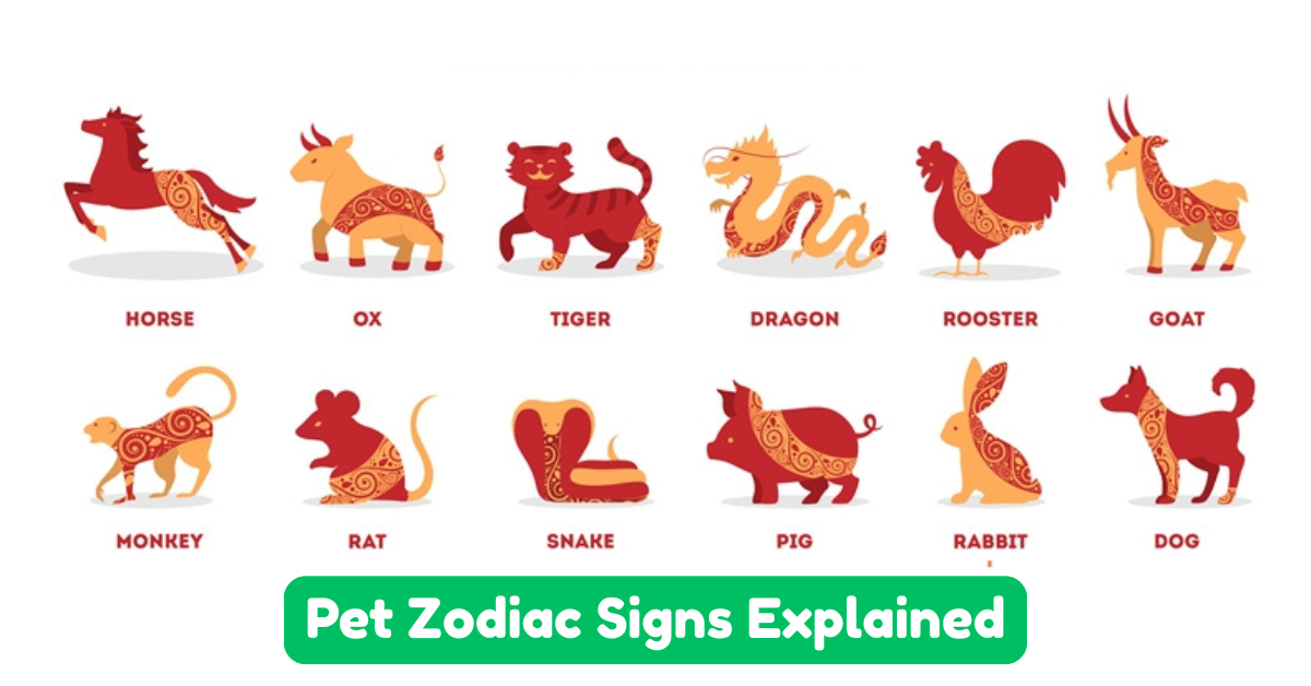 Pet Zodiac Signs Explained: Traits, Compatibility & More