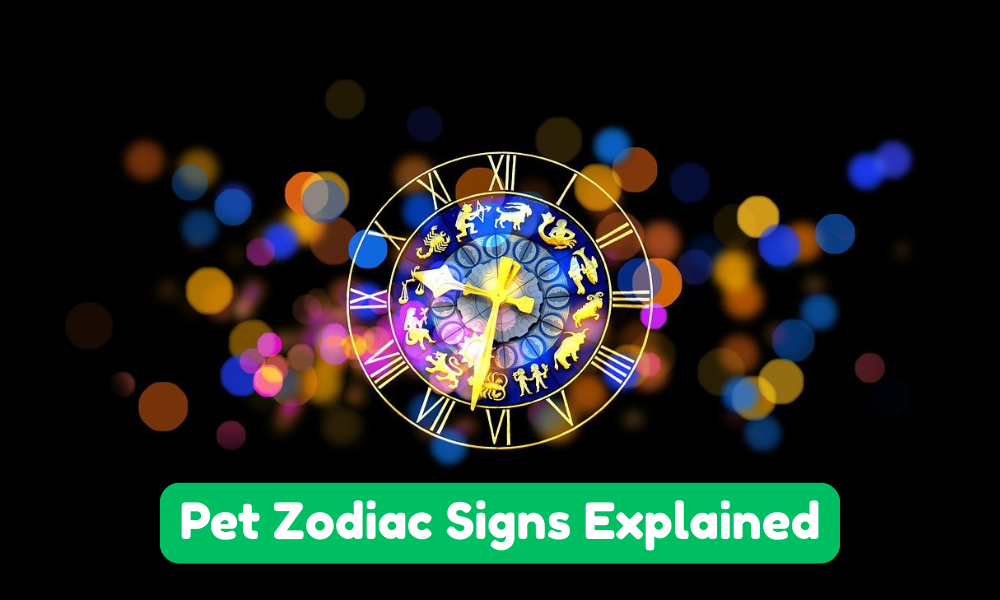Pet Zodiac Signs Explained: Traits, Compatibility
