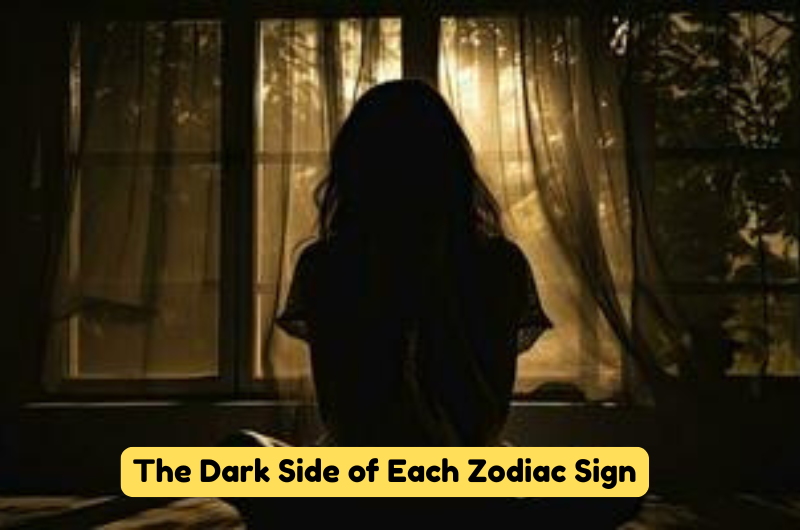 The Dark Side of Each Zodiac Sign in 2025