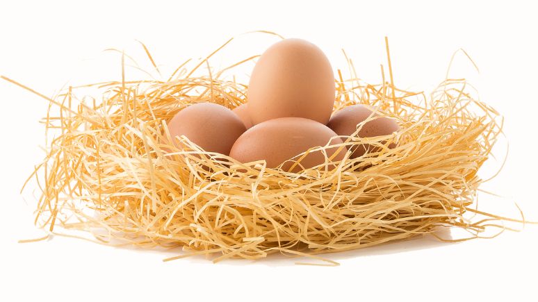 Eggs