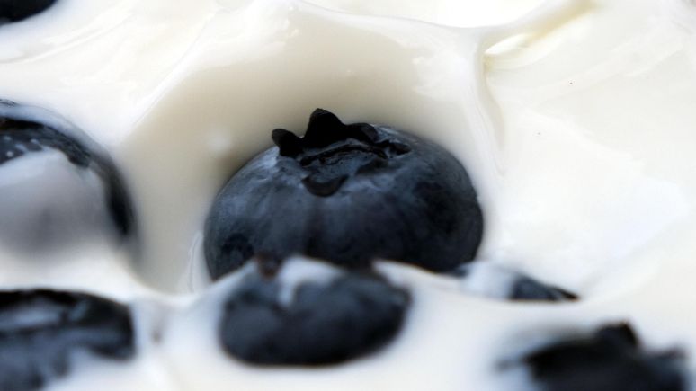 Greek Yogurt